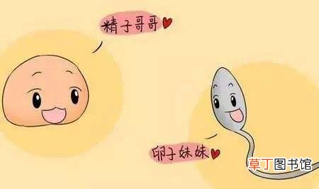养成这些生活习惯，让你保持“精”力旺盛