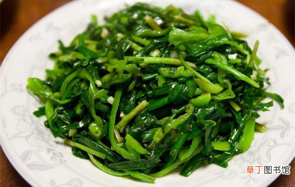 男性年纪大了身体走下坡路怎么办？多吃这些食物让你刚硬如前