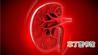 男人肾好不好，摸摸这些地方就知道