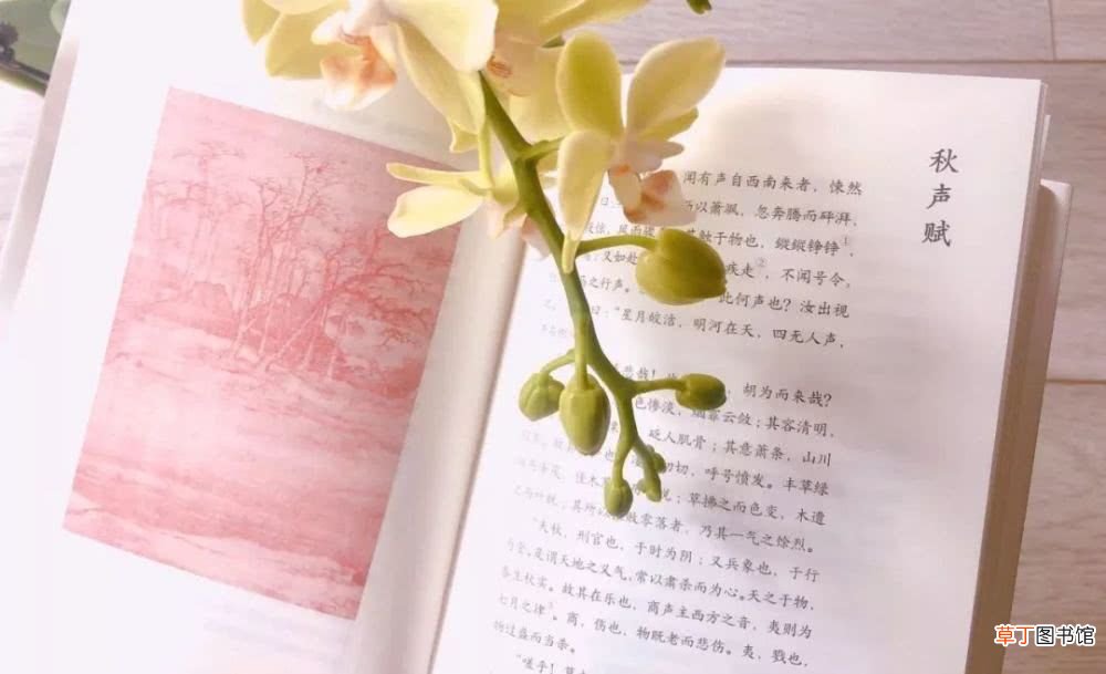 为什么李白成不了诗圣 诗仙诗圣