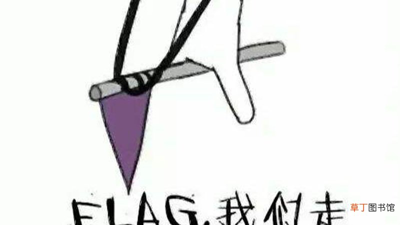 立flag是下决心吗