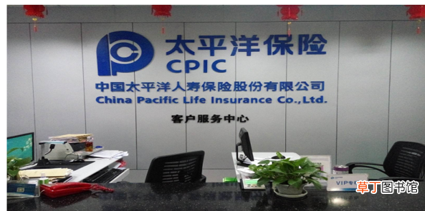 怎么通过车牌查车主电话