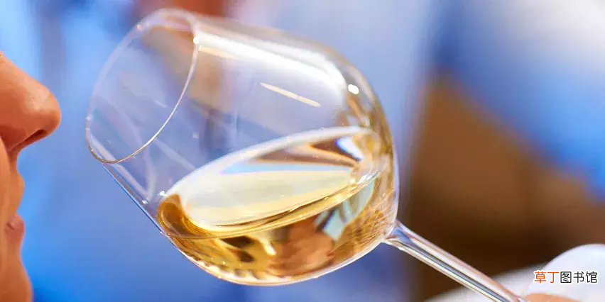葡萄酒的年份代表着什么？ 葡萄酒瓶身上标注的年份是指
