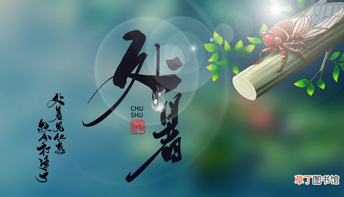 秋处露秋指的是哪四个节气