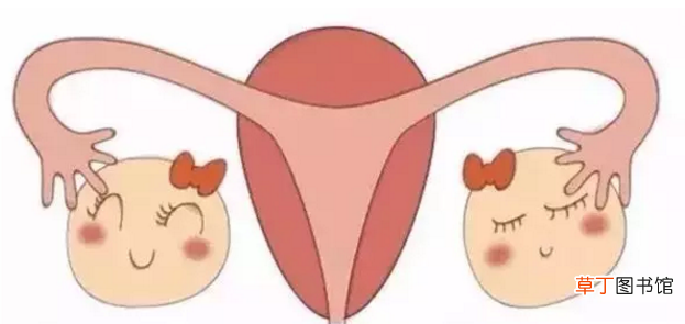 女性按这个穴位受益终身 抗衰老调月经
