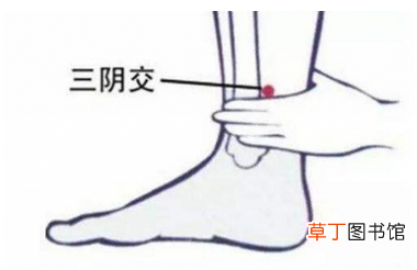 女性按这个穴位受益终身 抗衰老调月经