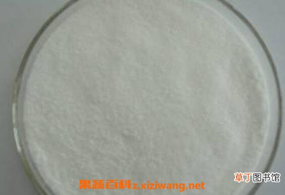 棉籽糖的功效及作用　吃棉籽糖的好处