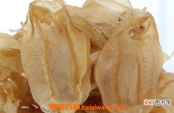 鱼胶对胃的功效与作用 鱼胶怎么吃养胃