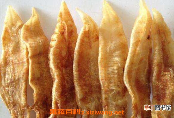 鱼胶对胃的功效与作用 鱼胶怎么吃养胃