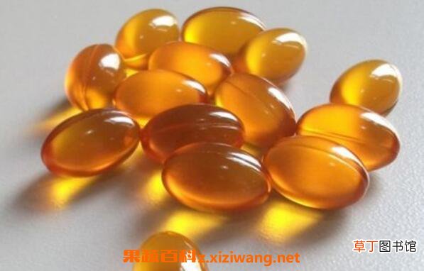 卵磷脂的功效与作用 卵磷脂的副作用