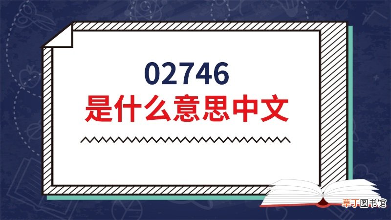 02746是什么意思中文
