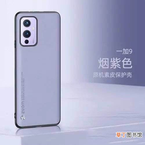 vivoS10Pro对比一加9R哪个更好?