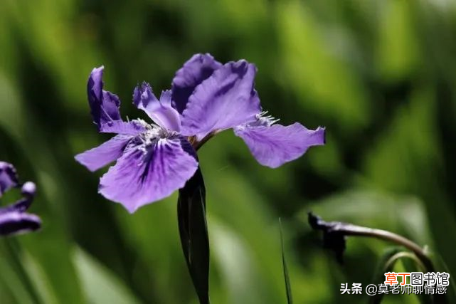 女人为什么会出轨 怎样处理老婆出轨的情况