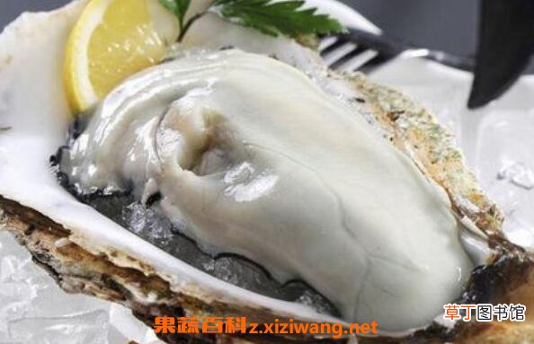 生蚝怎么吃 生蚝不能吃的部位图解