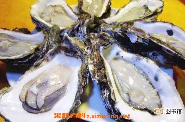 生蚝怎么吃 生蚝不能吃的部位图解