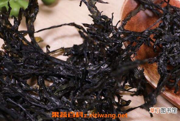 女人吃紫菜有什么好处和坏处