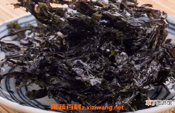 女人吃紫菜有什么好处和坏处