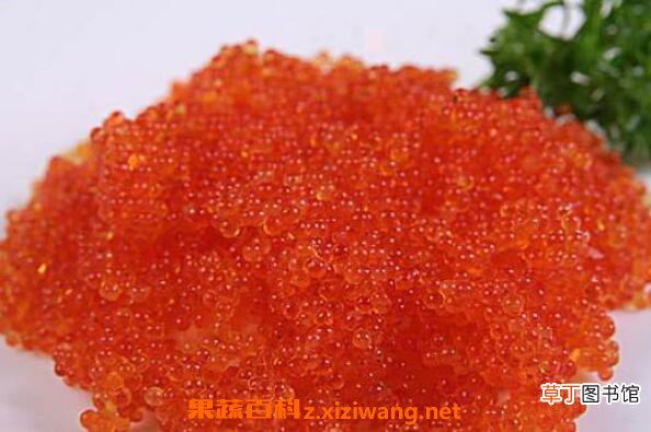 飞鱼籽是什么鱼的籽 飞鱼籽的营养价值