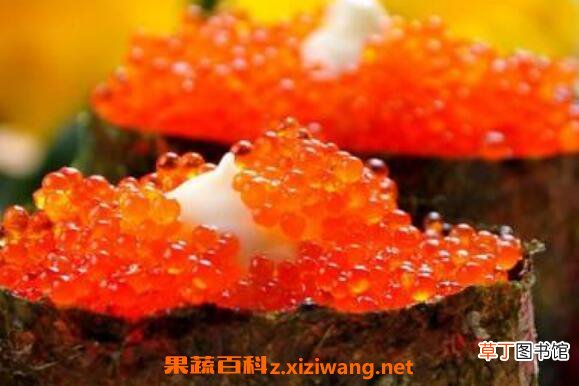 飞鱼籽是什么鱼的籽 飞鱼籽的营养价值