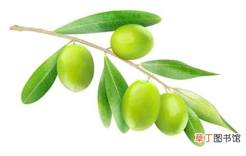 老年人吃什么水果好消化又有营养-老年人吃什么水果可以帮助消化