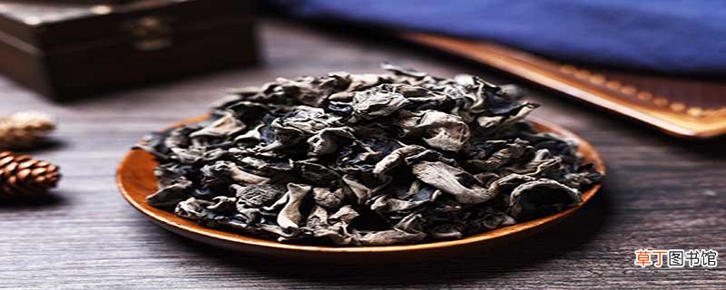 快速泡发木耳的方法是什么