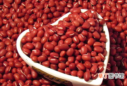 体寒宫寒湿气重怎么调理-宫寒应该吃这些