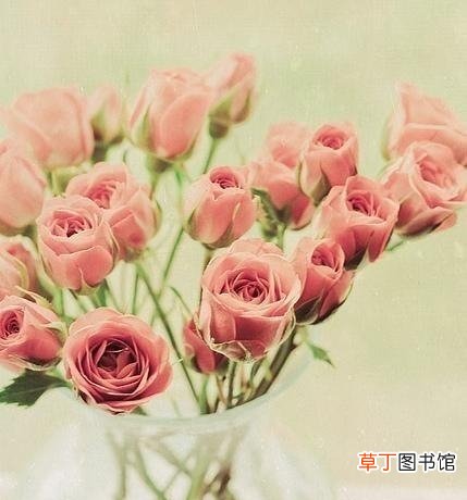 太岁代表什么生肖 结婚代表什么生肖