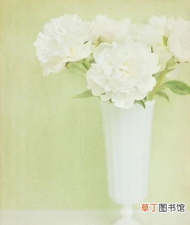 太岁代表什么生肖 结婚代表什么生肖
