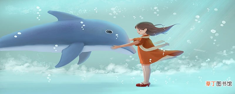 海豚吃什么