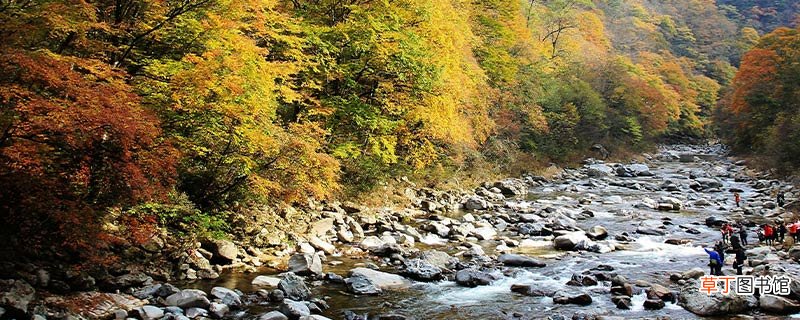 光雾山海拔最高多少米