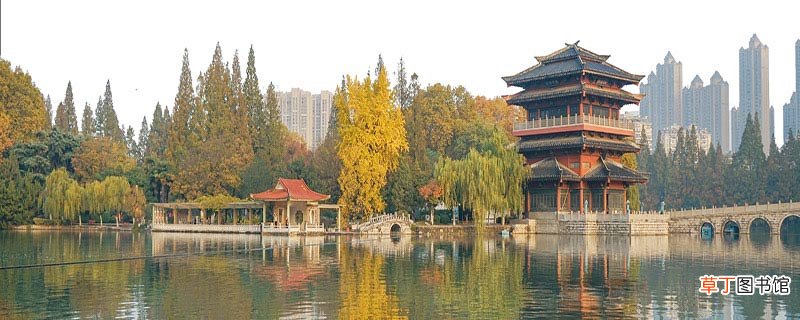 壮丽东南第一州指的是