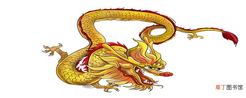 四通八达是指什么动物