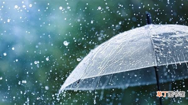 郑州一小哥雨中弹吉他上热搜：其乐观精神感动网友