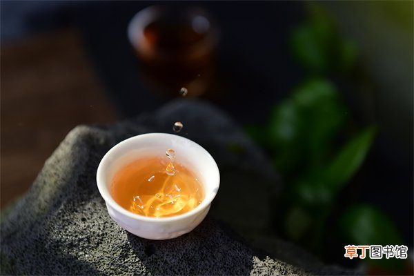 金骏眉是哪里产的茶