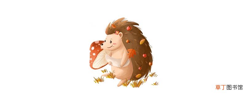 刺猬吃什么?