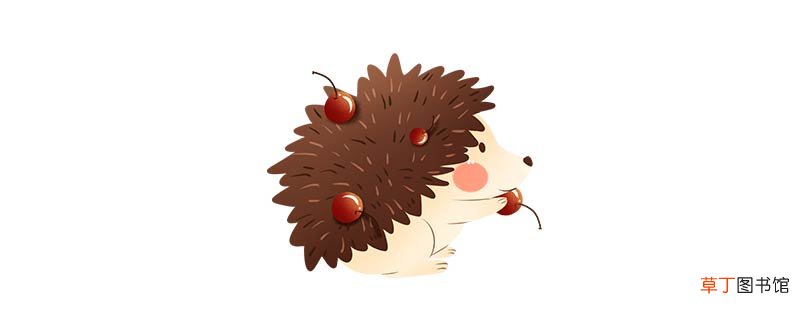 刺猬吃什么?