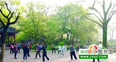 心脏病患者如何适度锻炼 利于身体恢复-心脏病患者身体恢复应该怎么锻炼