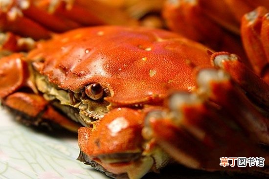 女性经期养生小常识 饮食有这十三禁忌