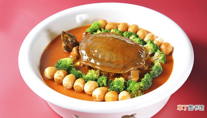 水鱼是甲鱼吗