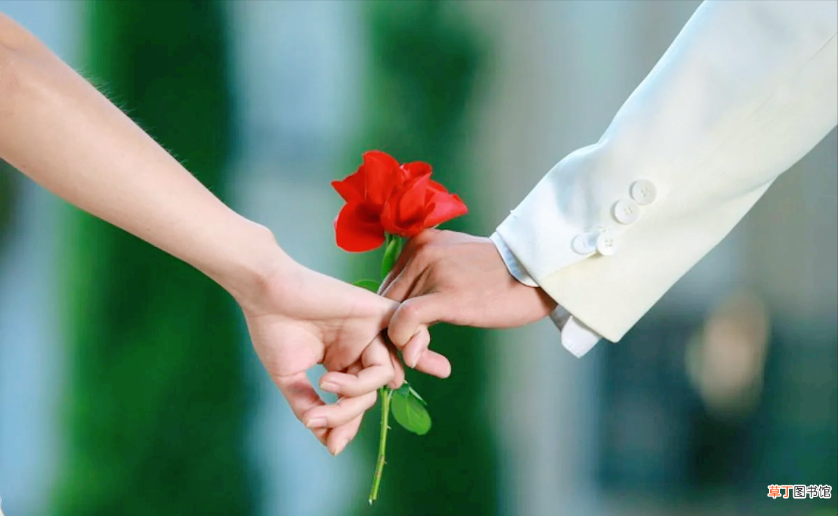 真正的婚姻幸福是什么 真正的婚姻幸福是什么