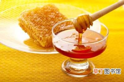 蜂蜜美容又营养别挑花眼 教你挑选蜂蜜的小贴士