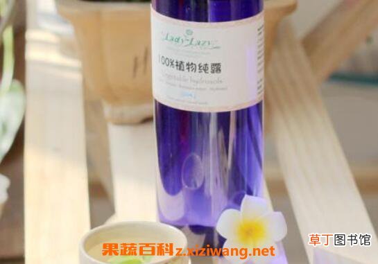 薄荷纯露的功效与作用 薄荷纯露的药用价值
