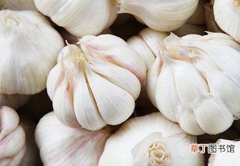 冬季养生你别乱吃 冬天这物虽好吃错也会伤身