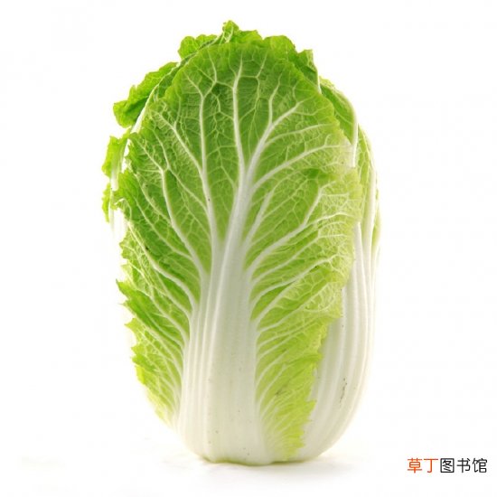 嘴角上火 吃这些食物可迅速降火