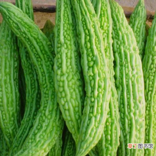 嘴角上火 吃这些食物可迅速降火