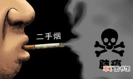 二手烟的危害大 吃四类食物降低危害
