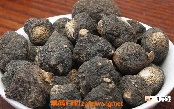 吗咔泡酒有什么功效 吗咔泡酒的功效与作用