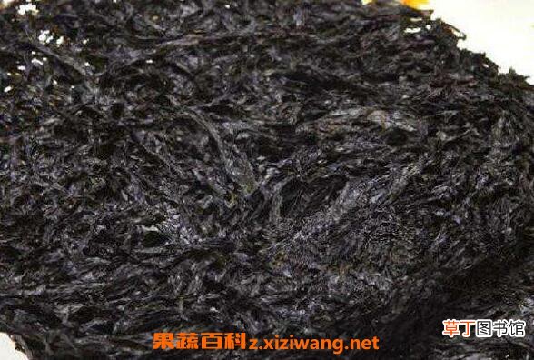 女人吃紫菜有什么好处 女人吃紫菜的危害
