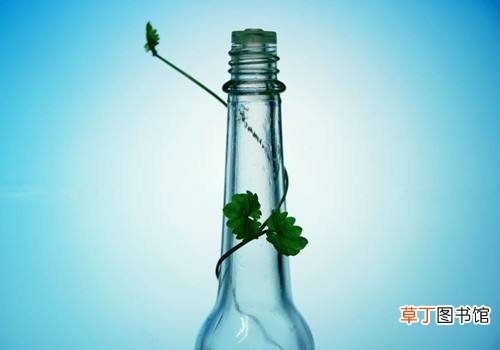 使用花露水5个注意 喷完后绝不能靠近火源
