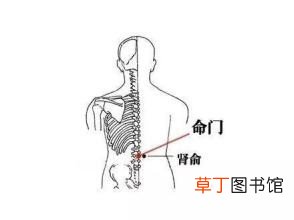 白领腰疼怎么办 7招助你缓解腰痛